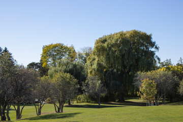 Fototapeta na wymiar Centennial Park in Etobicoke, Ontario