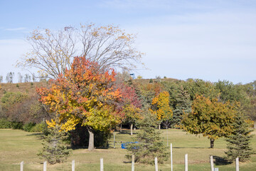 Centennial Park in Etobicoke, Ontario