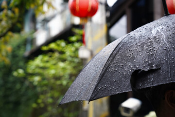 雨の日の散歩のイメージ