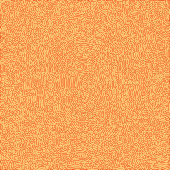 turing reaction diffusion monochrome seamless pattern with chaotic motion. Natural background with organic structures. Vector illustration of chemical morphogenesis concept. Vector Formats