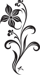 Chic Black Foliage Enigmatic Petal Intricacies