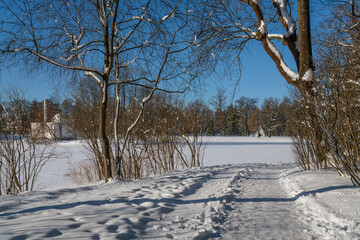 Winter landscape near the Large Pond in the Catherine Park of Tsarskoye Selo on a sunny winter day,...