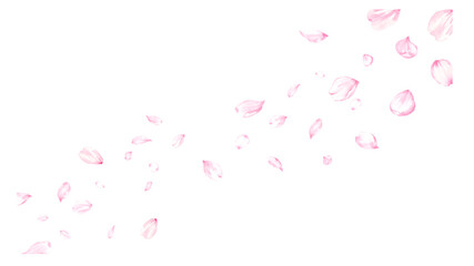 桜の花びらが舞う背景　水彩イラスト © miko