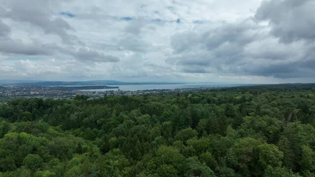 View of Lake Constance with Constance funnel, looking towards Kreuzlingen, drone image, Taegerwilen, Thurgau, Switzerland, Europe
