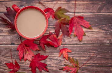 Naklejka na ściany i meble Morning Coffee in a red mug in autumn with copy space for text