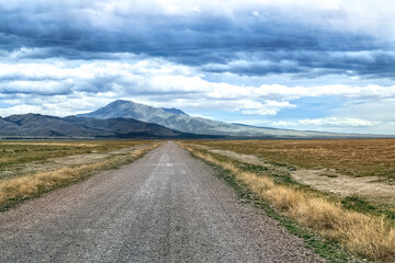 Road Into the Desert