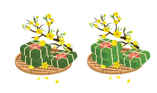 Vietnamese traditional lunar new year vector set. Vietnamese new year cuisine and flower. Chung cake vector and ochna integerrima  tree branch vector. Banh chung, hoa mai. Vietnamese Tet. Tet holiday.