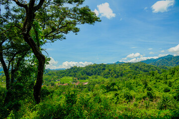 hot weather in the middle of rice fields in the remote countryside far from the city 