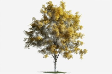 Isolated European aspen tree on transparent background for architectural and garden design, 3D illustration. Generative AI