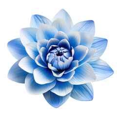 Blue lotus isolated on transparent background,transparency 