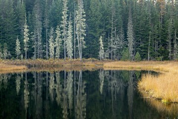 The calm reflective lake in Idaho.