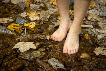 Barefooted in a stream with fallen leaves.