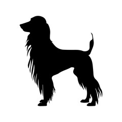 Afghan Hound Dog Vector Silhouettes, Generative AI.