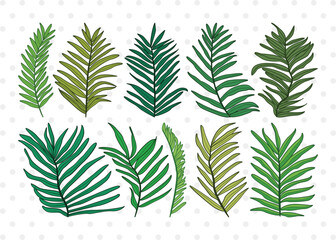 Palm Leaves Clipart SVG Cut File | Palm Leaf Svg | Tropical Leaves SVG | Monstera Leaf Svg | Plants Svg | Palm Tree Leaves Bundle