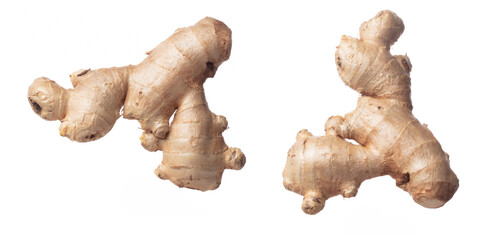 Ginger fall fly in mid air, fresh vegetable spice ginger falling. Organic fresh herbal ginger root head full length, close up texture. White background isolated freeze motion high speed shutter