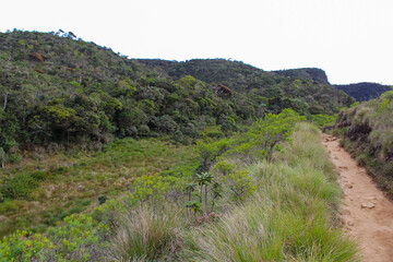 Beautiful view of The Horton Plains. The path through the park, Sri Lanka