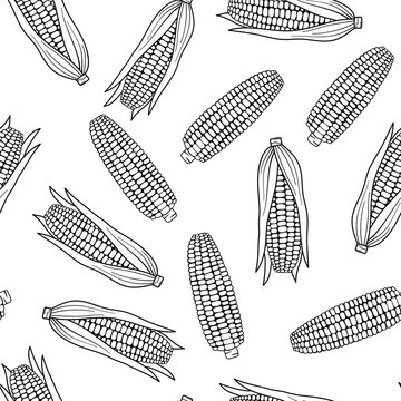 Seamless pattern with corn. Outline illustrations on white. Hand drawn line food