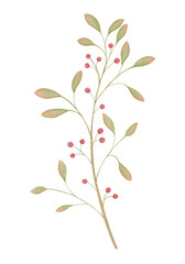 Watercolor Leaves and Red Fruits Illustration