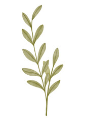 Vintage Watercolor Leaves