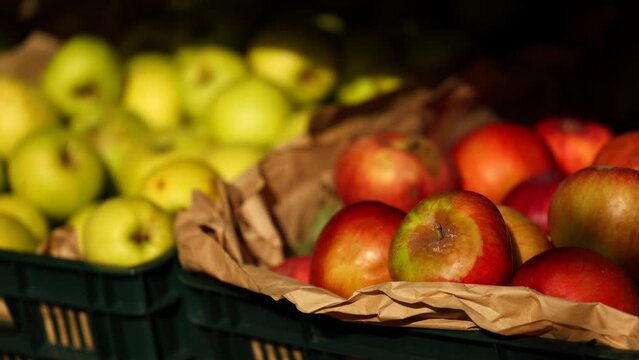 4K close up video with two baskets full with red and green apples. Autumn apple harvesting. Autumn fruits and agriculture.