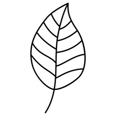 leaf nature icon vector