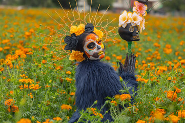 Handsome girl in Mexican sombrero and traditional costume with skull makeup on his face. Festive...