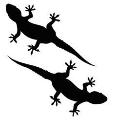 silhouette of two lizards