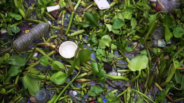 Plastic debris, trash, garbage pollution floating down the waterways and irrigation canals of Bangkok Thailand. 