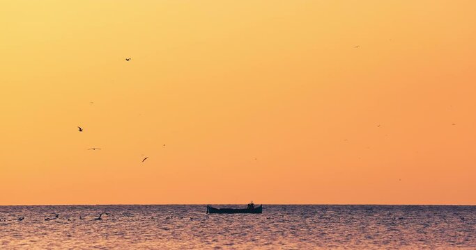 Golden sunrise over sea horizon and sailing fisherman boat, freedom flying birds doves and seagulls