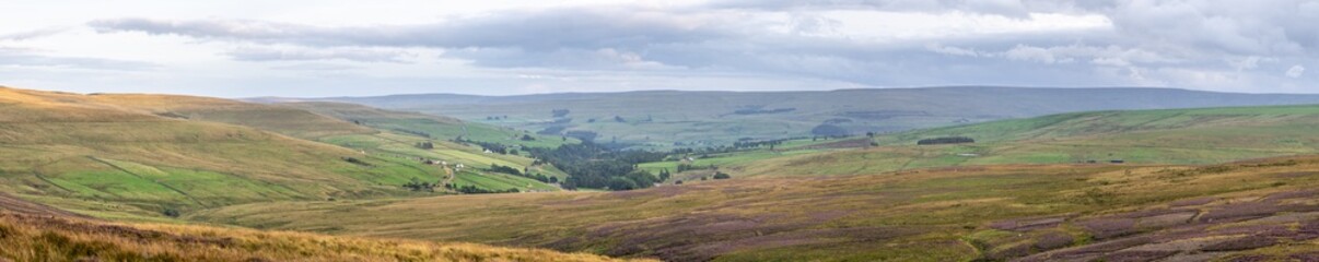 Fototapeta na wymiar panoramic view of the heather moors of the North Pennines Area of Outstanding Natural Beauty (ANOB), near Stanhope, Durham, UK