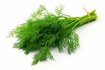 Isolated branch with green dill herb leaves for culinary use. Generative AI