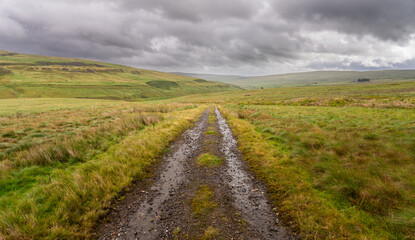 trackway through moorland, North Pennines Area of Outstanding Natural Beauty (ANOB), near Allenheads, Durham, UK