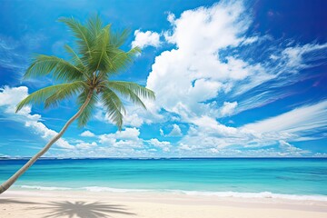 Fototapeta na wymiar Beach Landscape: Palm Tree on Tropical Beach with Blue Sky and White Clouds - Abstract Background