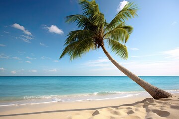 Beach Palm Tree Photo: Stunning Beachscape with Majestic Palms