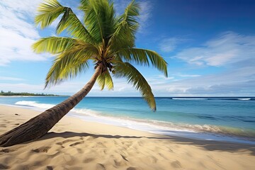 Beach Palm Tree - Stunning Beach Photo Perfect for Tropical Vibe