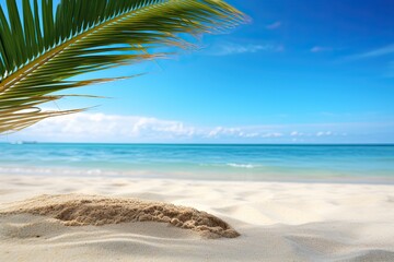 Beach Palm Tree: Closeup of Sand on Beach with Blue Summer Sky - Tropical Paradise