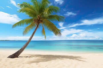 Fototapeta na wymiar Beach Palm Tree and Empty Tropical Beach: Stunning Seascape for a Perfect Tropical Getaway