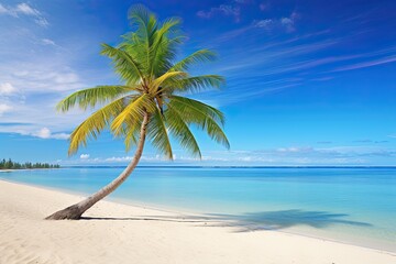 Fototapeta na wymiar Beach Palm Tree: Vacation Travel Holiday Beach Banner Image for Stunning Getaways