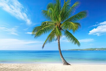 Fototapeta na wymiar Beach Palm Tree: A Captivating Vacation Travel Holiday Beach Banner Image