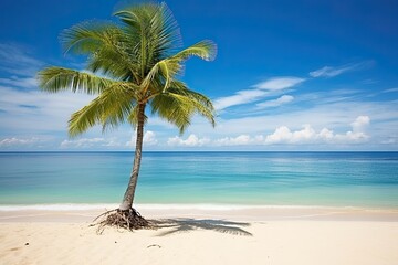 Beach with Palm Tree, Beach Sea: Idyllic Tropical Paradise Image