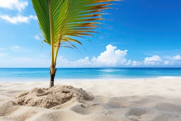 Closeup of Sand on Beach and Blue Summer Sky with Beach Palm Tree - Stunning Seaside Snapshot