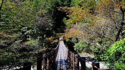 山の中の吊り橋