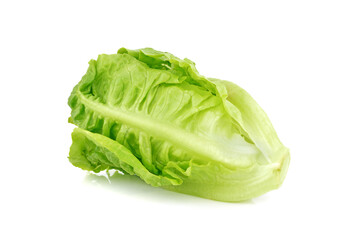 Fresh baby cos lettuce on white background