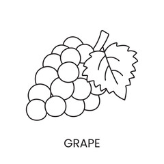 Grapes line icon in vector, berry illustration