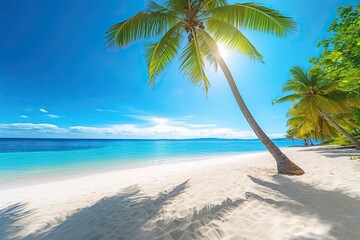 Holiday Summer Beach Background: Tropical Paradise with White Sand, Coco Palms