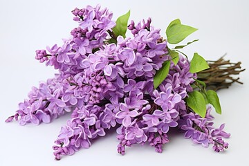 Lilac Purple Flower Design: Fragrant and Vibrant Floral Delight