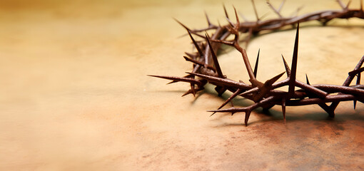 Crown of thorns of Jesus with copy space