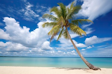 Palm Tree on Tropical Beach: Aesthetic Blue Sky, White Clouds Abstract Background - Captivating Beach Pictures