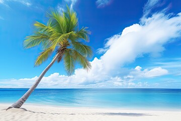 Fototapeta premium Palm Tree on Tropical Beach: Aesthetic Pictures of Blue Sky, White Clouds, and Abstract Background