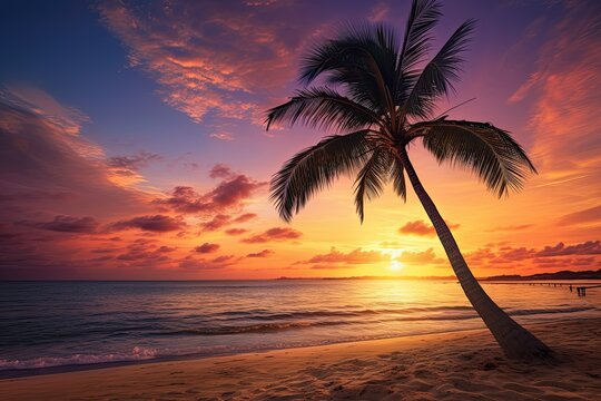 Sunset Beach Images: Palm Tree on Beach - Stunning Tropical Sunset Scenery